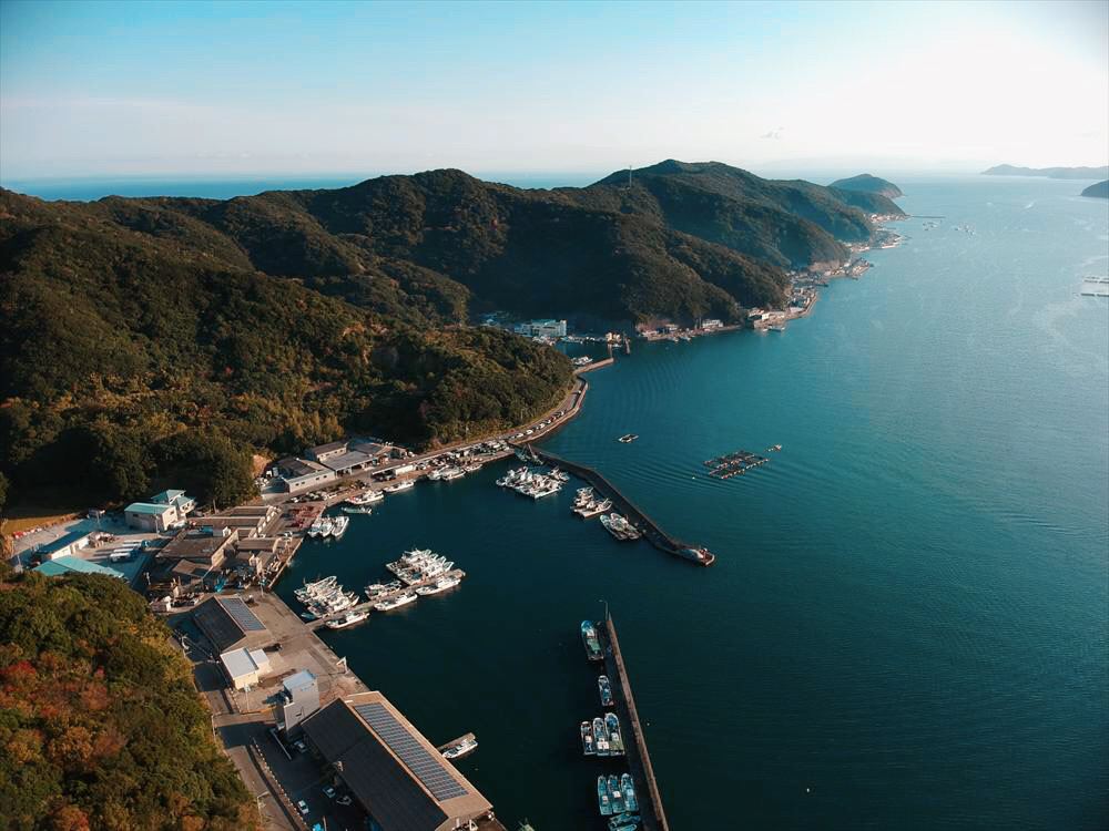Aerial view of a coastal harbor surrounded by mountains, featuring numerous boats docked along the waterfront.